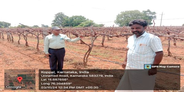 ಕೃಷಿ ವಿಸ್ತರಣಾ ಶಿಕ್ಷಣ ಕೇಂದ್ರದಿಂದ ದ್ರಾಕ್ಷಿ ಬೆಳೆಗಾರರಿಗೆ ಸಲಹೆ