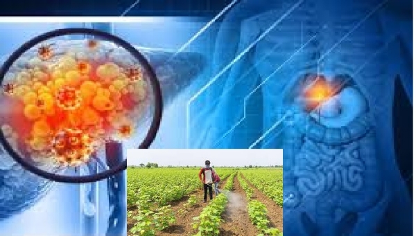 Pesticides pose cancer risk for