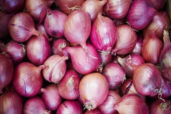 onions to consumers at affordable price.