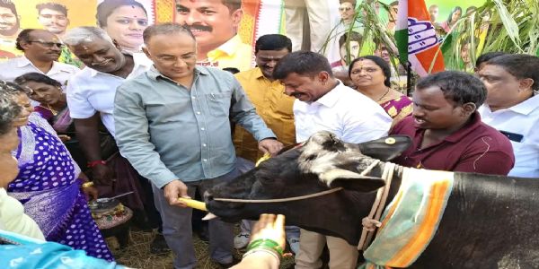 ಸಂಕ್ರಾಂತಿ ಸಂಭ್ರಮಿಸಿದ ಸಚಿವ ದಿನೇಶ ಗುಂಡುರಾವ