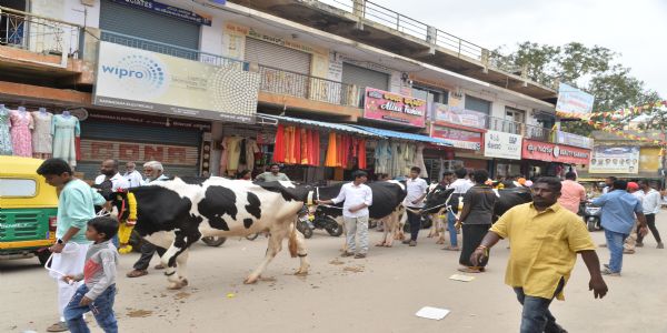 ಸಂಭ್ರಮದ ಸಂಕ್ರಾ0ತಿ ಆಚರಣೆ