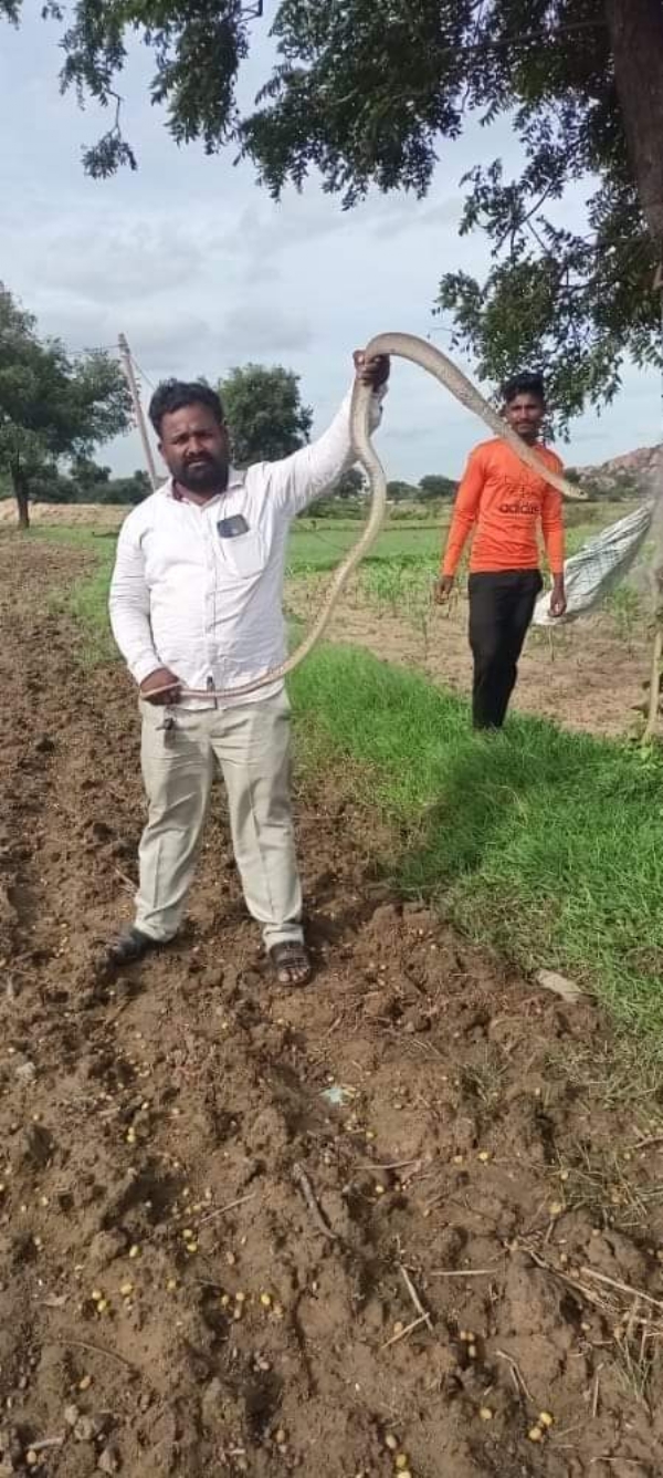 ಉರಗಪ್ರೇಮಿ ವಸಂತ್ ಗೆ ವಿವೇಕಶ್ರೀ ಪ್ರಶಸ್ತಿ