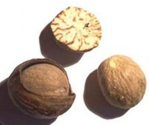 Nutmeg