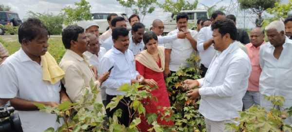 ರಾಯಚೂರು ಗ್ರಾಮೀಣ ಕ್ಷೇತ್ರದಲ್ಲಿ ಮಳೆ ಹಾನಿ ಪ್ರದೇಶಗಳಿಗೆ ಶಾಸಕ ಬಸನಗೌಡ ದದ್ಧಲ್ ಭೇಟಿ; ಪರಿಶೀಲನೆ