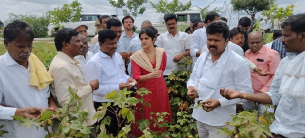 ರಾಯಚೂರು ಗ್ರಾಮೀಣ ಕ್ಷೇತ್ರದಲ್ಲಿ ಮಳೆ ಹಾನಿ ಪ್ರದೇಶಗಳಿಗೆ ಶಾಸಕ ಬಸನಗೌಡ ದದ್ಧಲ್ ಭೇಟಿ; ಪರಿಶೀಲನೆ