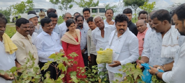 ರಾಯಚೂರು ಗ್ರಾಮೀಣ ಕ್ಷೇತ್ರದಲ್ಲಿ ಮಳೆ ಹಾನಿ ಪ್ರದೇಶಗಳಿಗೆ ಶಾಸಕ ಬಸನಗೌಡ ದದ್ಧಲ್ ಭೇಟಿ; ಪರಿಶೀಲನೆ