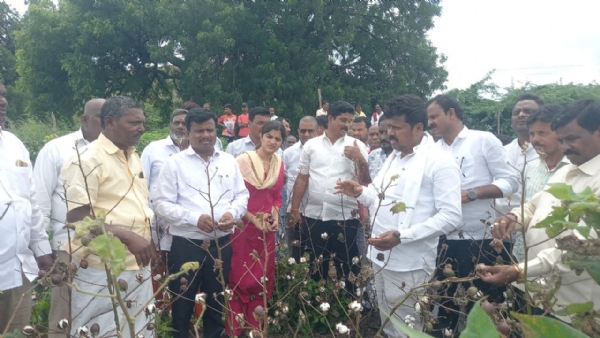 ರಾಯಚೂರು ಗ್ರಾಮೀಣ ಕ್ಷೇತ್ರದಲ್ಲಿ ಮಳೆ ಹಾನಿ ಪ್ರದೇಶಗಳಿಗೆ ಶಾಸಕ ಬಸನಗೌಡ ದದ್ಧಲ್ ಭೇಟಿ; ಪರಿಶೀಲನೆ