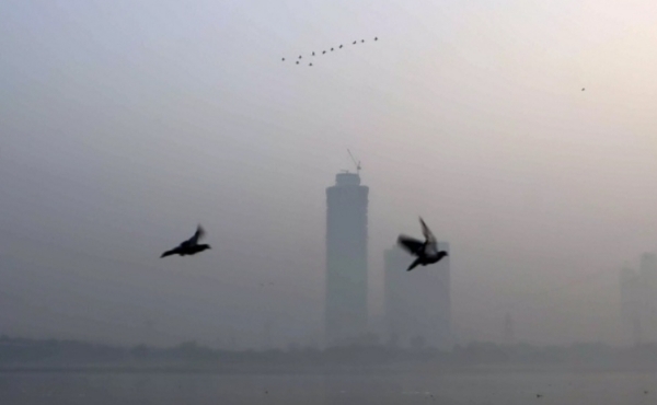 Pollution