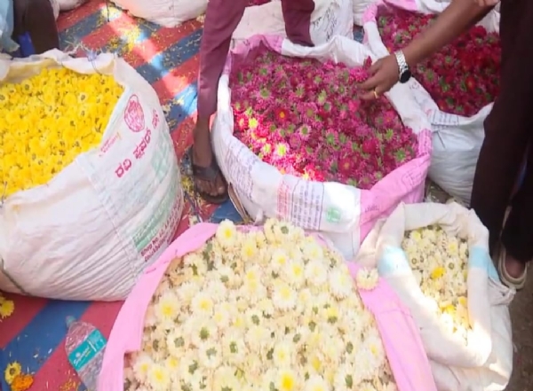 ಪೋಟೋ