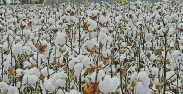 ಪೋಟೋ ಪೋಟೋ