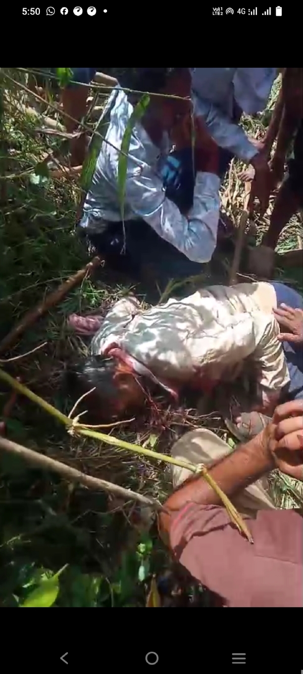 Tiger attack Tiger attack