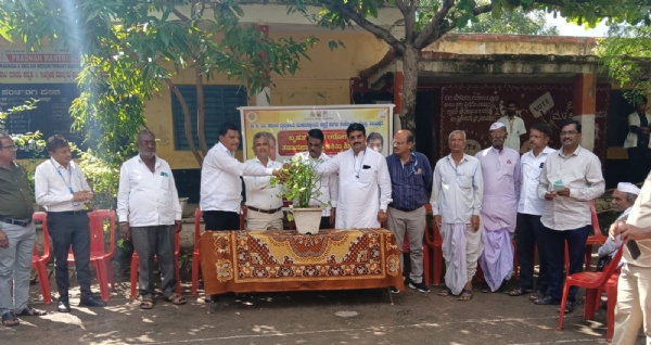 ಉಚಿತ ಉಚಿತ