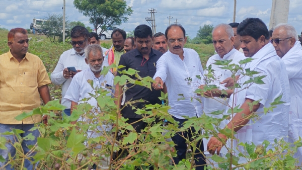 ಬೆಳೆ ಹಾನಿ- ಸಮೀಕ್ಷೆಯಾದರಿಸಿ ರೈತರಿಗೆ ನ್ಯಾಯಯುತ ಪರಿಹಾರ- ಎನ್ಎಸ್ ಬೋಸರಾಜು