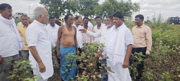ಬೆಳೆ ಹಾನಿ- ಸಮೀಕ್ಷೆಯಾದರಿಸಿ ರೈತರಿಗೆ ನ್ಯಾಯಯುತ ಪರಿಹಾರ- ಎನ್ಎಸ್ ಬೋಸರಾಜು