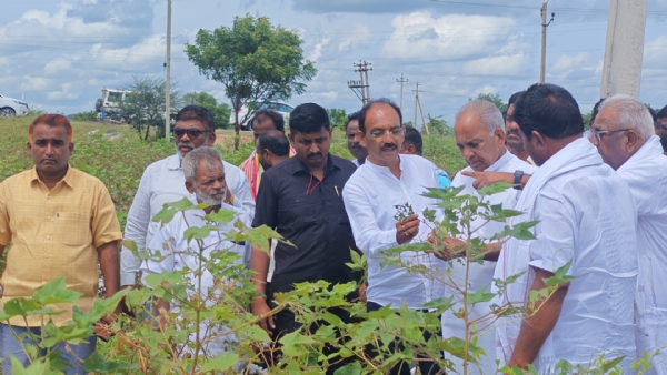 ಬೆಳೆ ಹಾನಿ- ಸಮೀಕ್ಷೆಯಾದರಿಸಿ ರೈತರಿಗೆ ನ್ಯಾಯಯುತ ಪರಿಹಾರ- ಎನ್ಎಸ್ ಬೋಸರಾಜು