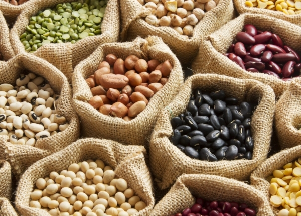 Legumes