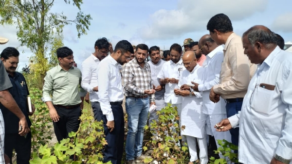 ಲಿಂಗಸುಗೂರ, ಮಸ್ಕಿ, ಸಿಂಧನೂರ, ಮಾನ್ವಿ ತಾಲೂಕಿನಲ್ಲಿ    ಉಸ್ತುವಾರಿ ಸಚಿವರ ಸಂಚಾರ: ಬೆಳೆ ಹಾನಿ ಪರಿಶೀಲನೆ