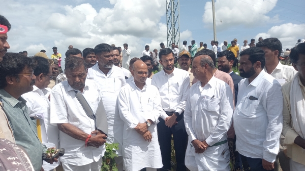 ಲಿಂಗಸುಗೂರ, ಮಸ್ಕಿ, ಸಿಂಧನೂರ, ಮಾನ್ವಿ ತಾಲೂಕಿನಲ್ಲಿ    ಉಸ್ತುವಾರಿ ಸಚಿವರ ಸಂಚಾರ: ಬೆಳೆ ಹಾನಿ ಪರಿಶೀಲನೆ