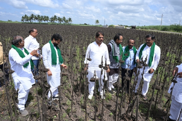 ಭೀಮಾ