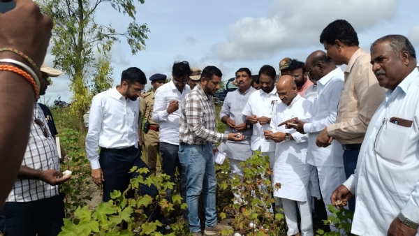ಲಿಂಗಸುಗೂರ, ಮಸ್ಕಿ, ಸಿಂಧನೂರ, ಮಾನ್ವಿ ತಾಲೂಕಿನಲ್ಲಿ    ಉಸ್ತುವಾರಿ ಸಚಿವರ ಸಂಚಾರ: ಬೆಳೆ ಹಾನಿ ಪರಿಶೀಲನೆ