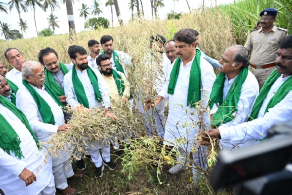 ಹಾನಿ