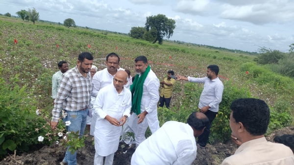 ಲಿಂಗಸುಗೂರ, ಮಸ್ಕಿ, ಸಿಂಧನೂರ, ಮಾನ್ವಿ ತಾಲೂಕಿನಲ್ಲಿ    ಉಸ್ತುವಾರಿ ಸಚಿವರ ಸಂಚಾರ: ಬೆಳೆ ಹಾನಿ ಪರಿಶೀಲನೆ