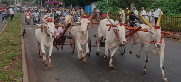 ಪೋಟೋ