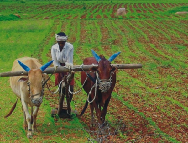 ಫೋಟೋ ಫೋಟೋ