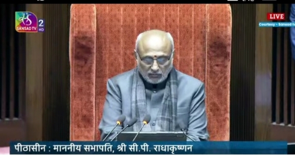 Vice President Vice President