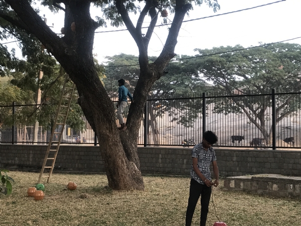 ಜಾತ್ರಾ ಆವರಣ ವಿದ್ಯುತ್ ದೀಪಗಳ ಸೌಂದರೀಕರಣ ಸಿದ್ಧತಾ ಕಾರ್ಯ