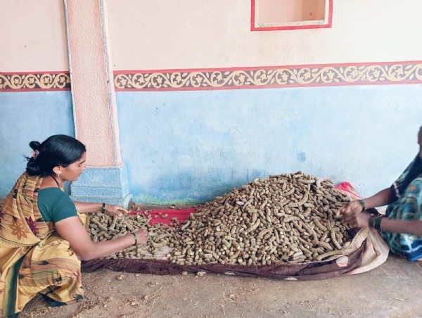 ಗವಿಮಠದ ಮಹಾದಾಸೋಹಕ್ಕೆ   10ಕ್ವೀಂಟಲ್ ಹುಣಸೆ ಚಟ್ನಿ