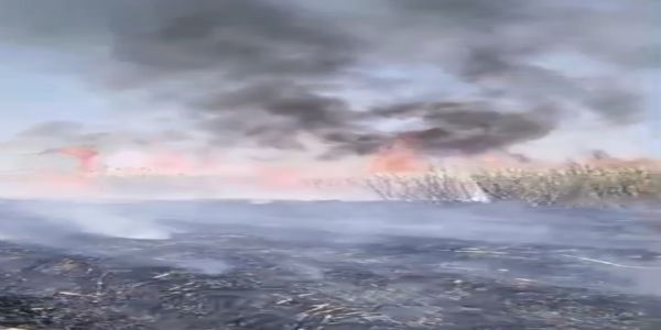 ಕಬ್ಬು ಬೆಂಕಿಗಾಹುತಿ ; ಅಪಾರ ನಷ್ಟ