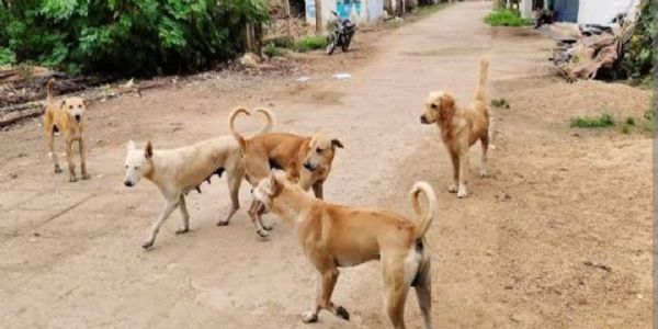 ನರಗುಂದ ಪುರಸಭೆ ವ್ಯಾಪ್ತಿಯ ಸಾರ್ವಜನಿಕರ ಗಮನಕ್ಕೆ