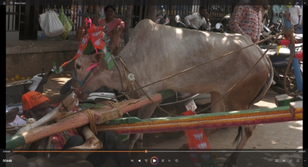 ಕೋಲಾರದಲ್ಲಿ ನಡೆದ ಬಿಜೆಪಿ ಪ್ರತಿಭಟನೆಯ ವೇಳೆ ಎತ್ತು ಬೆದರಿ ಬಂಡಿ ಮಾಲೀಕನನ್ನು ನೆಲಕ್ಕೆ ಕೆಡವಿತು.