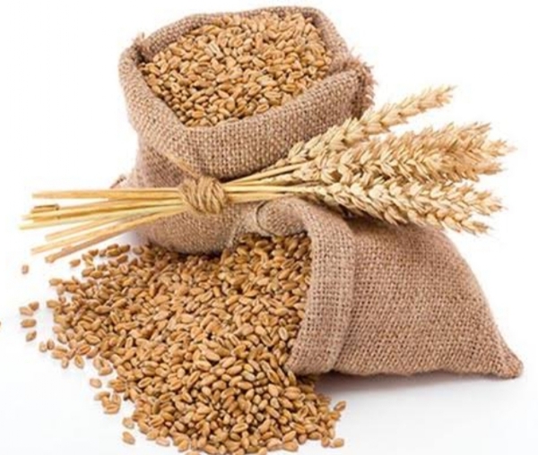 Wheat