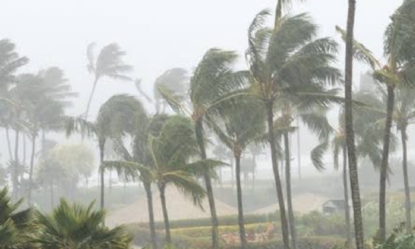 Monsoon