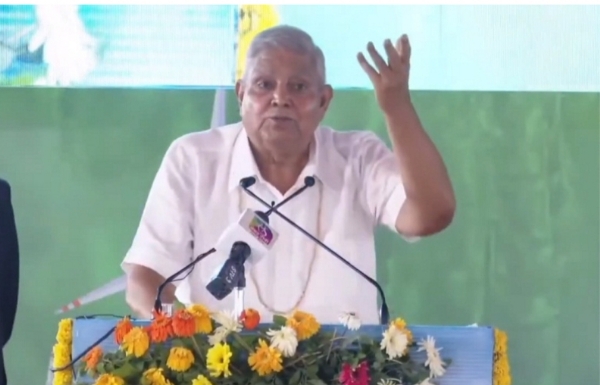 Vice President