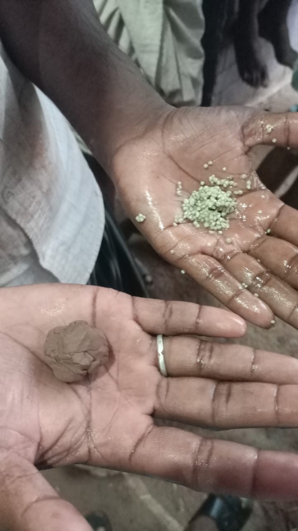 ಪೋಟೋ