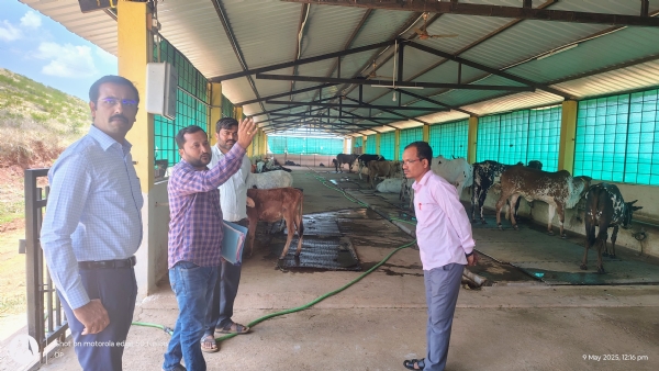 ಪೋಟೋ