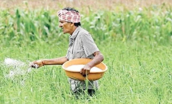 ಪೋಟೋ