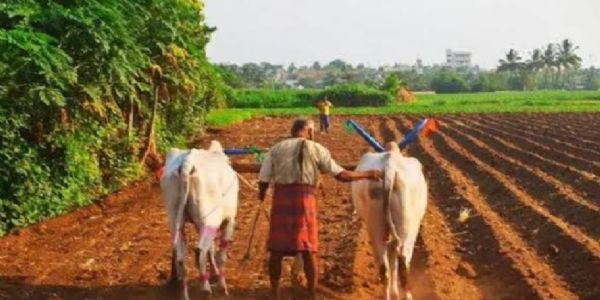 ರಾಜ್ಯದಲ್ಲಿ ಉತ್ತಮ ಮುಂಗಾರು : ಬಿತ್ತನೆಗೆ ರೈತರ ಸಿದ್ದತೆ