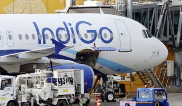 Indigo plane