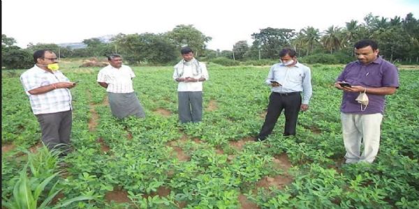 ಆ್ಯಪ್‌ನಲ್ಲಿ ಬೆಳೆಗಳ ಸಮೀಕ್ಷೆ