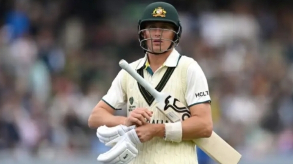 Cricket