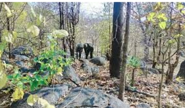 Naxal