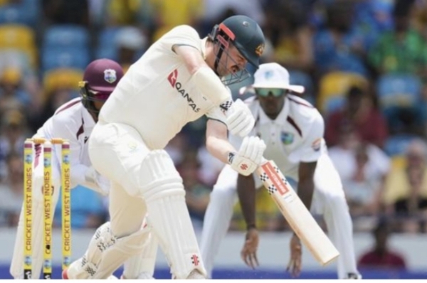 Cricket