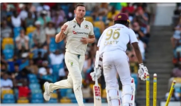 Cricket