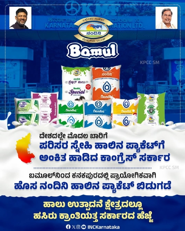 Milk packet