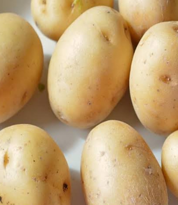 Potato