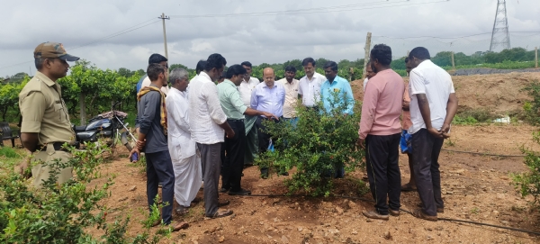 ವಿವಿಧೆಡೆ ಕೊಪ್ಪಳ ಜಿಲ್ಲಾಧಿಕಾರಿ ಸುರೇಶ ಬಿ. ಇಟ್ನಾಳ ಭೇಟಿ: ರೈತರೊಂದಿಗೆ ಚರ್ಚೆ